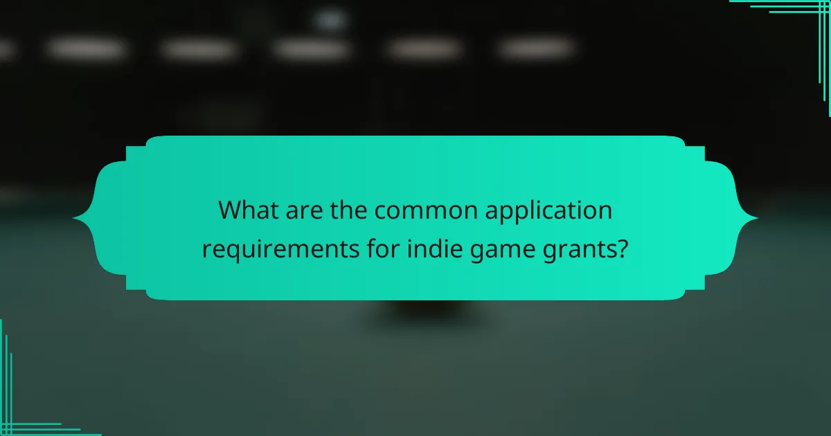What are the common application requirements for indie game grants?
