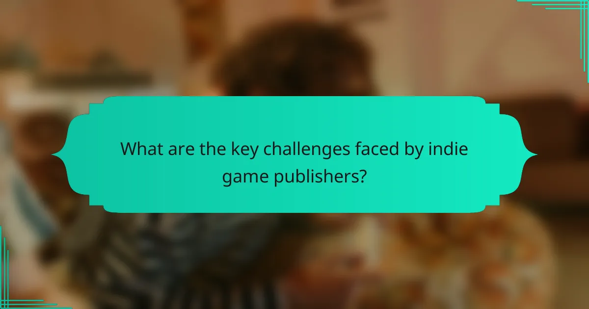 What are the key challenges faced by indie game publishers?